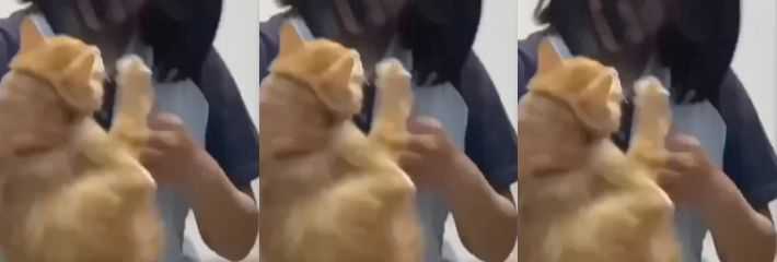 下载 2