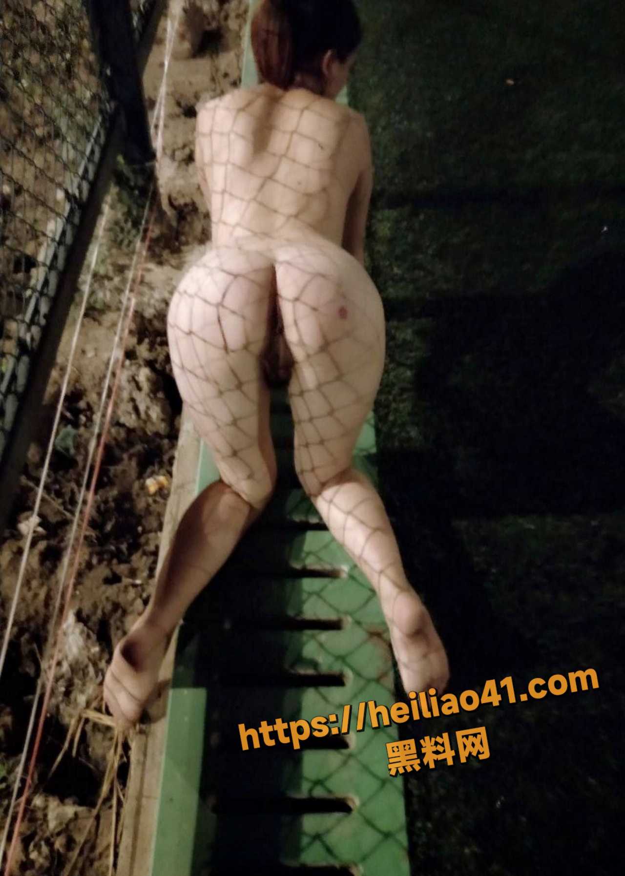 photo3720251217172752