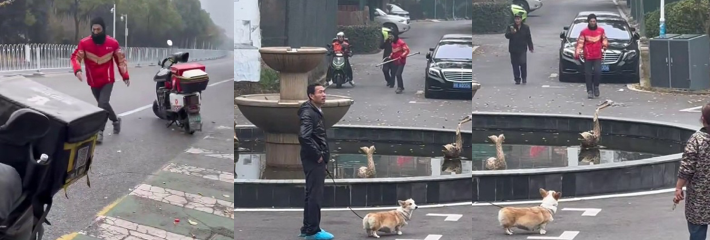 下载