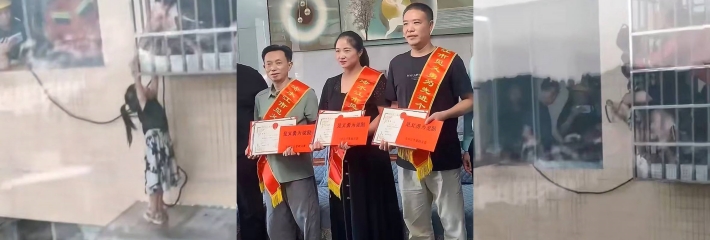 下载