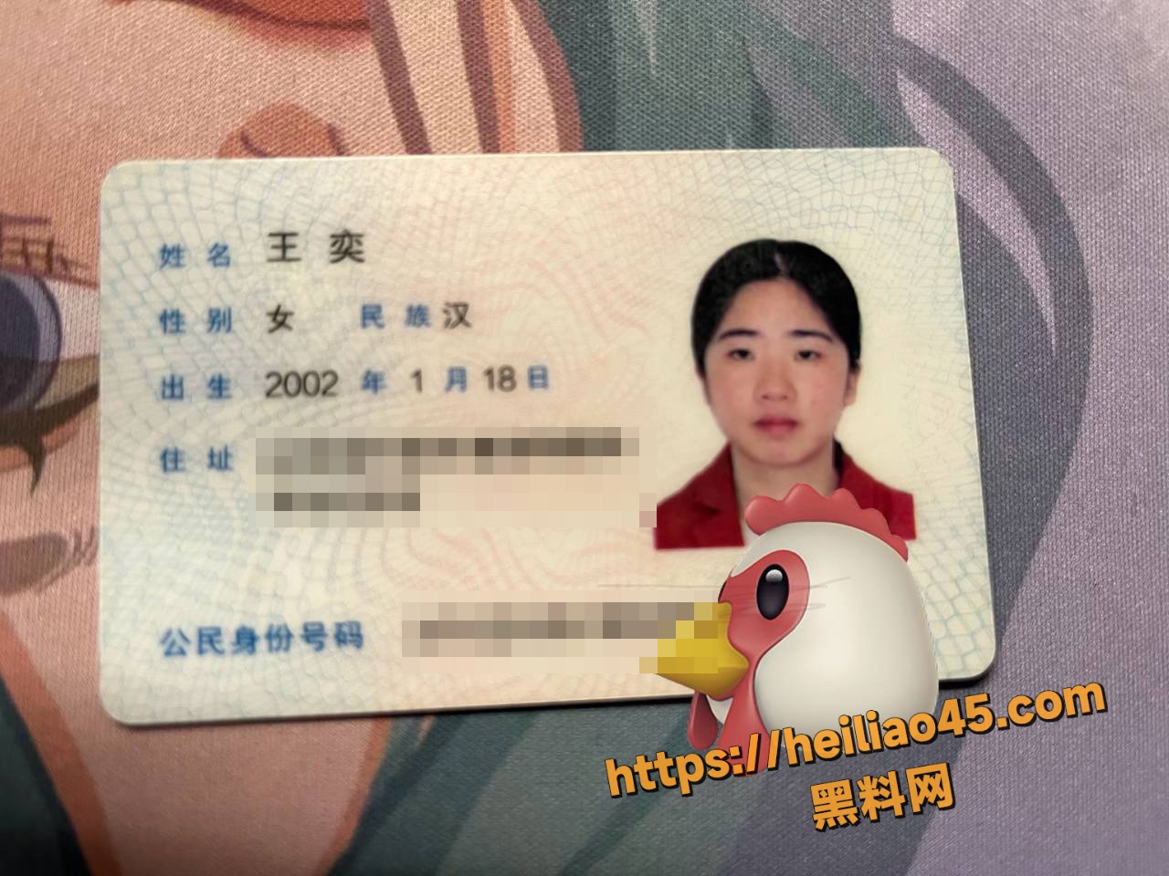 山东青岛王奕1