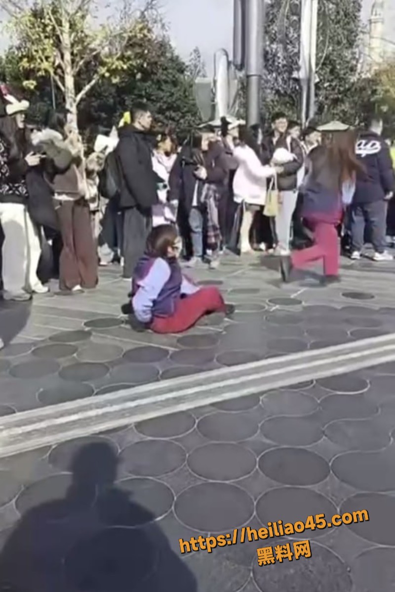 游客