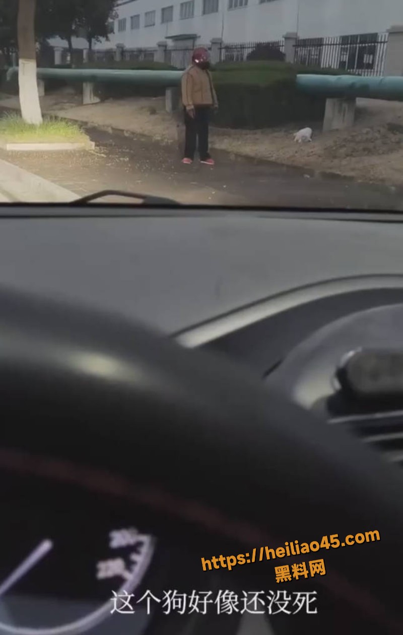 监控曝光