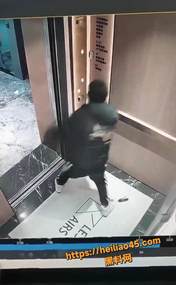 国服达摩5