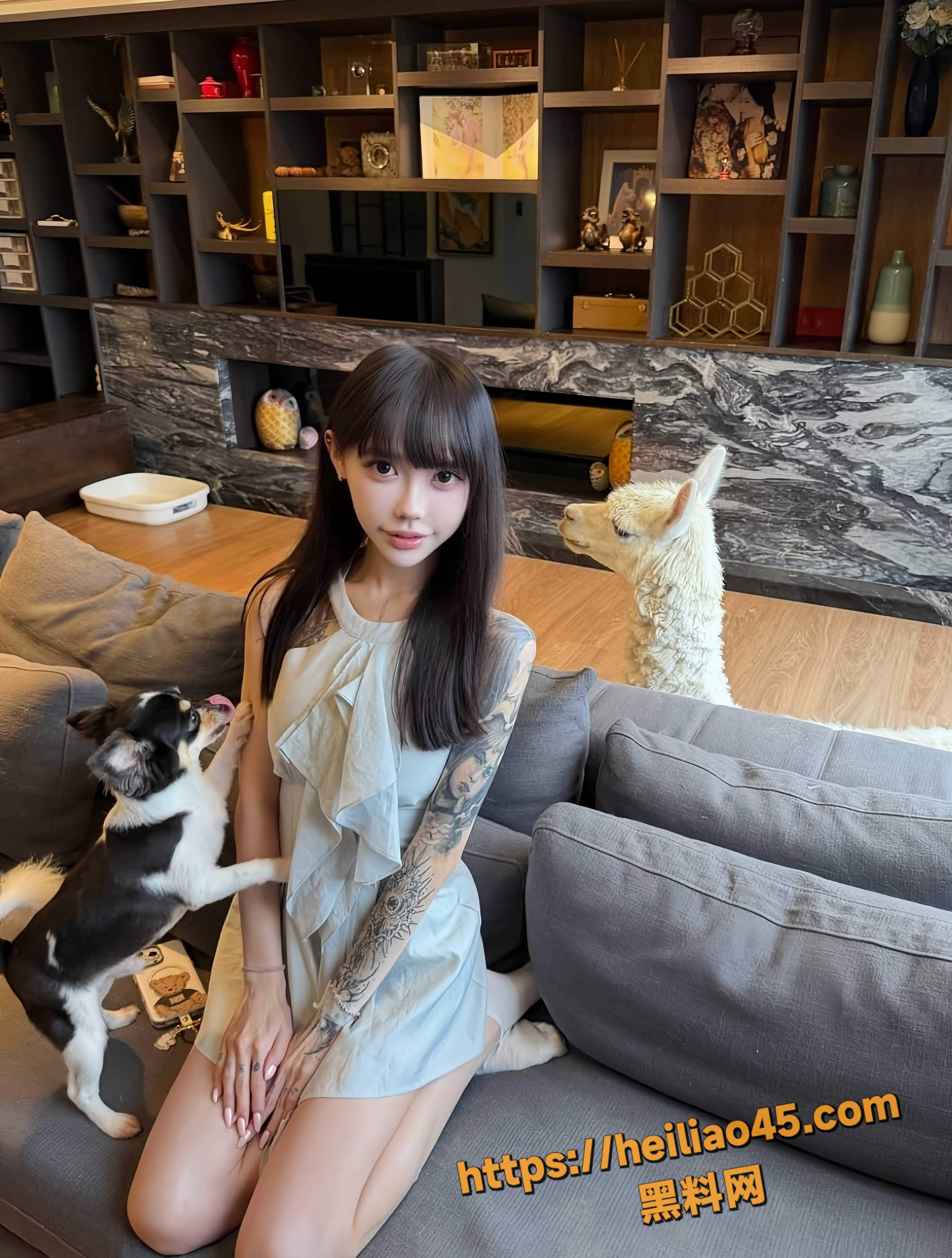 高颜值5