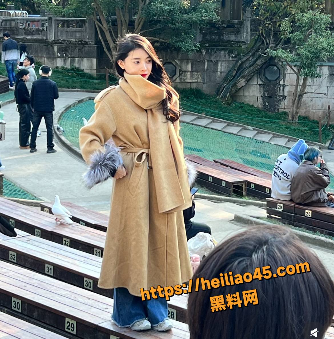 网红37