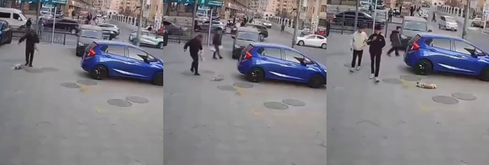 下载