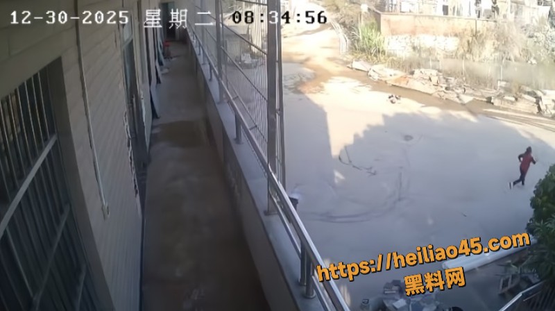 IMAGE 20260102 143141cleanup