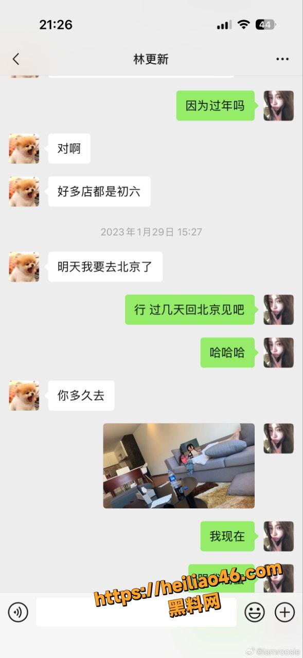 林更新41