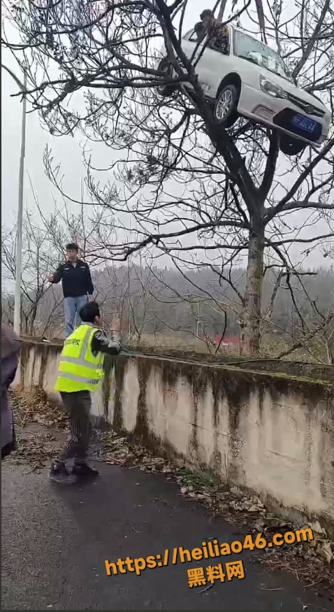 车卡树枝搞笑现场3