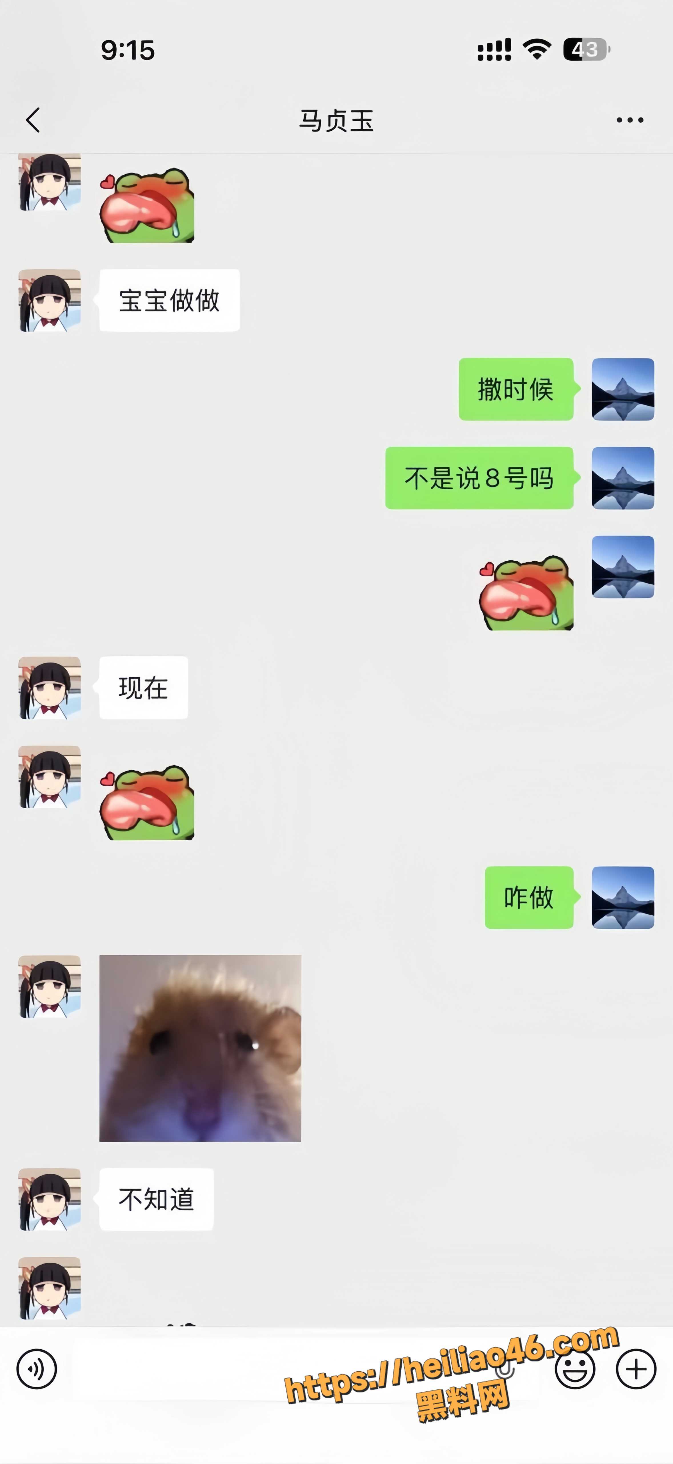 黑龙江马贞玉16