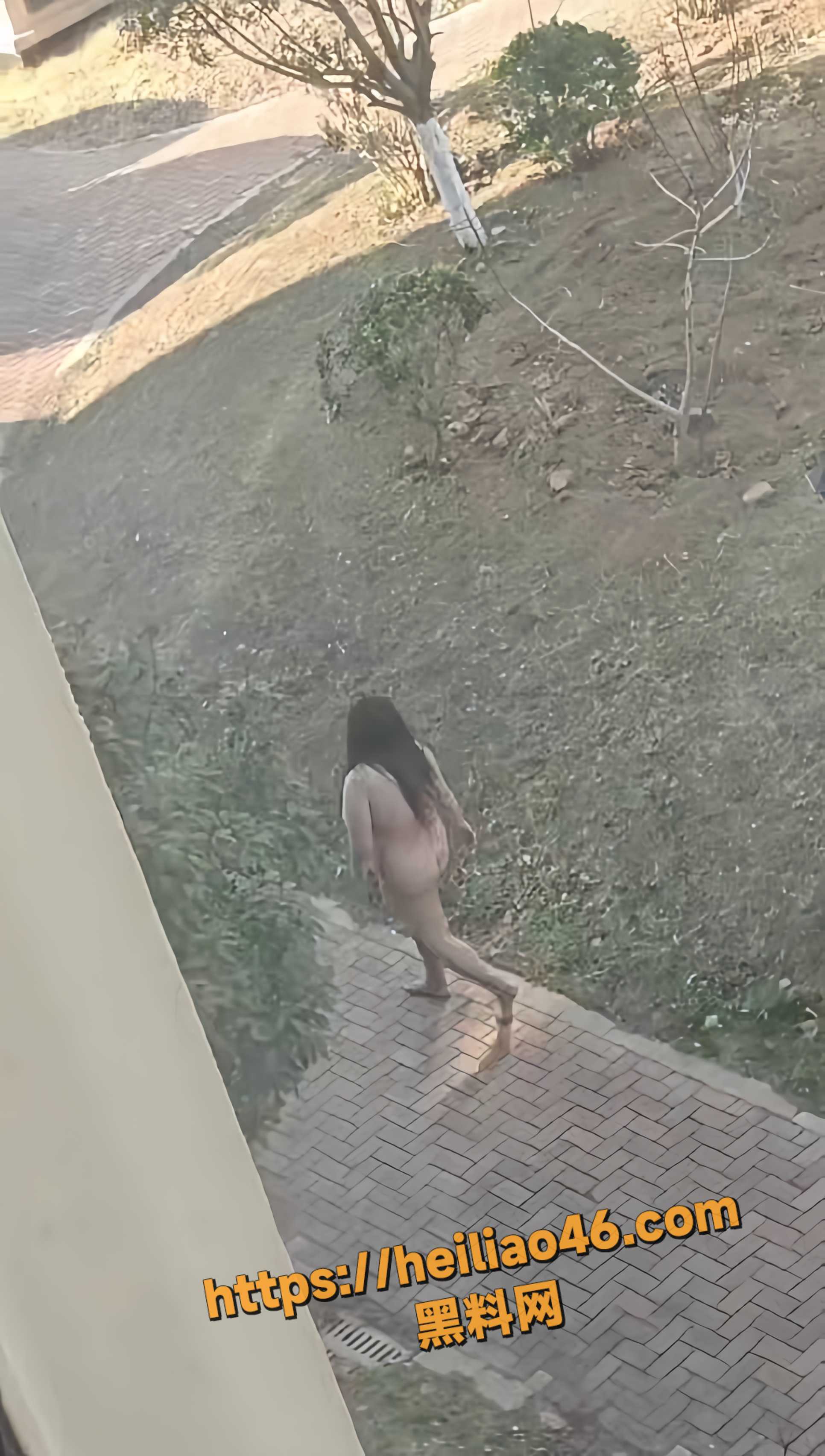 流亭小区女子全裸闯民宅砸店2