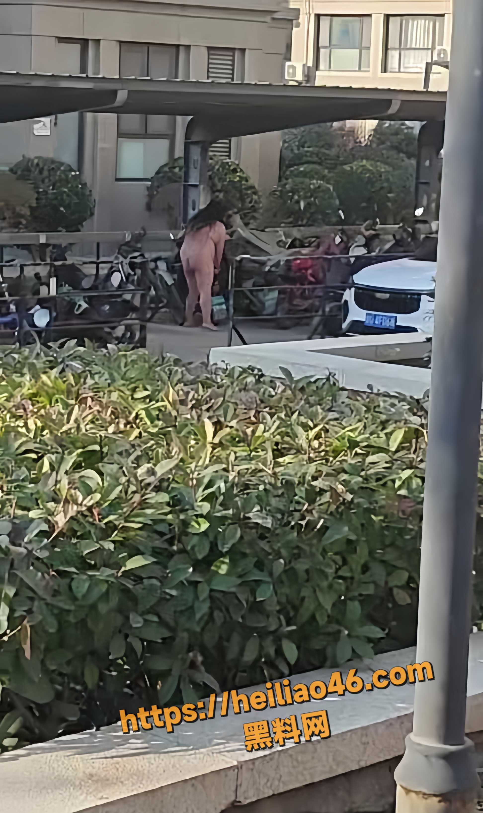 精神病女子水果店乱砸视频3