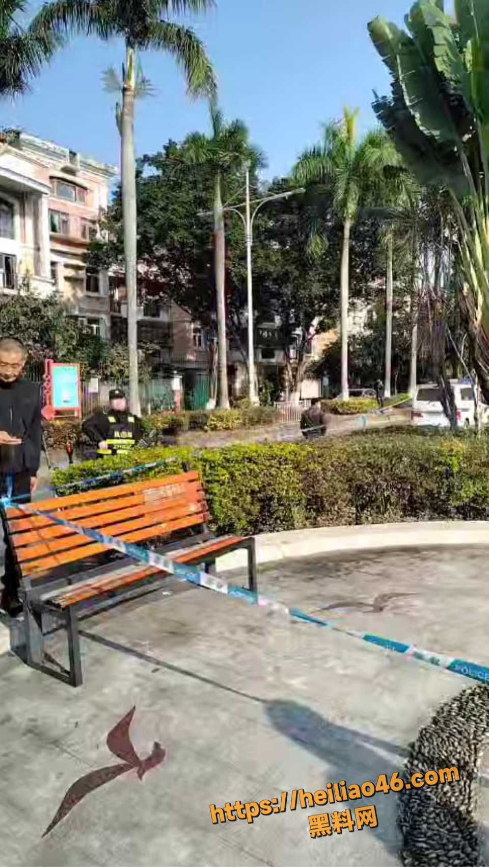 洛溪分尸案曝光3