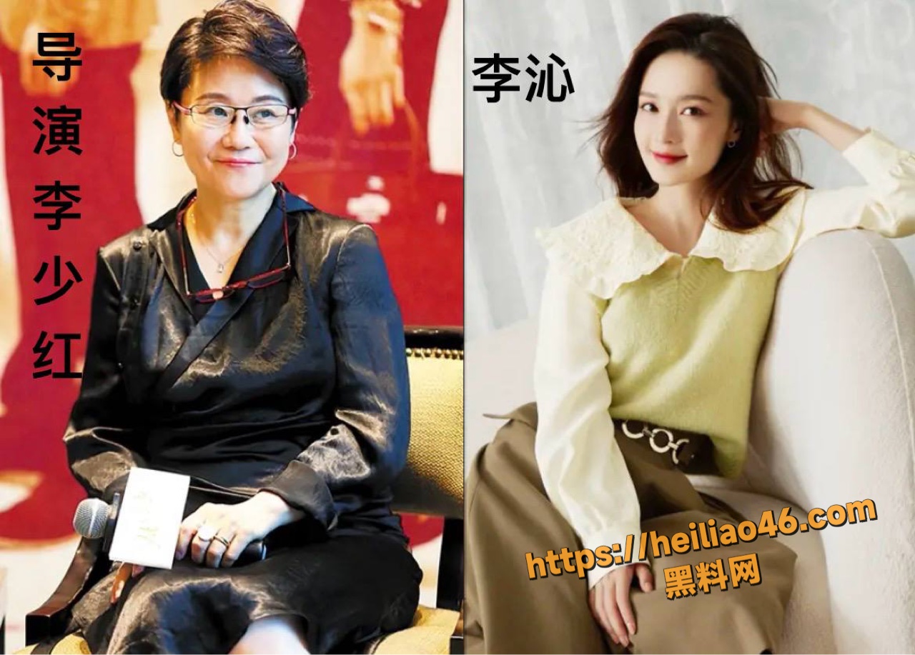 李沁个人介绍2