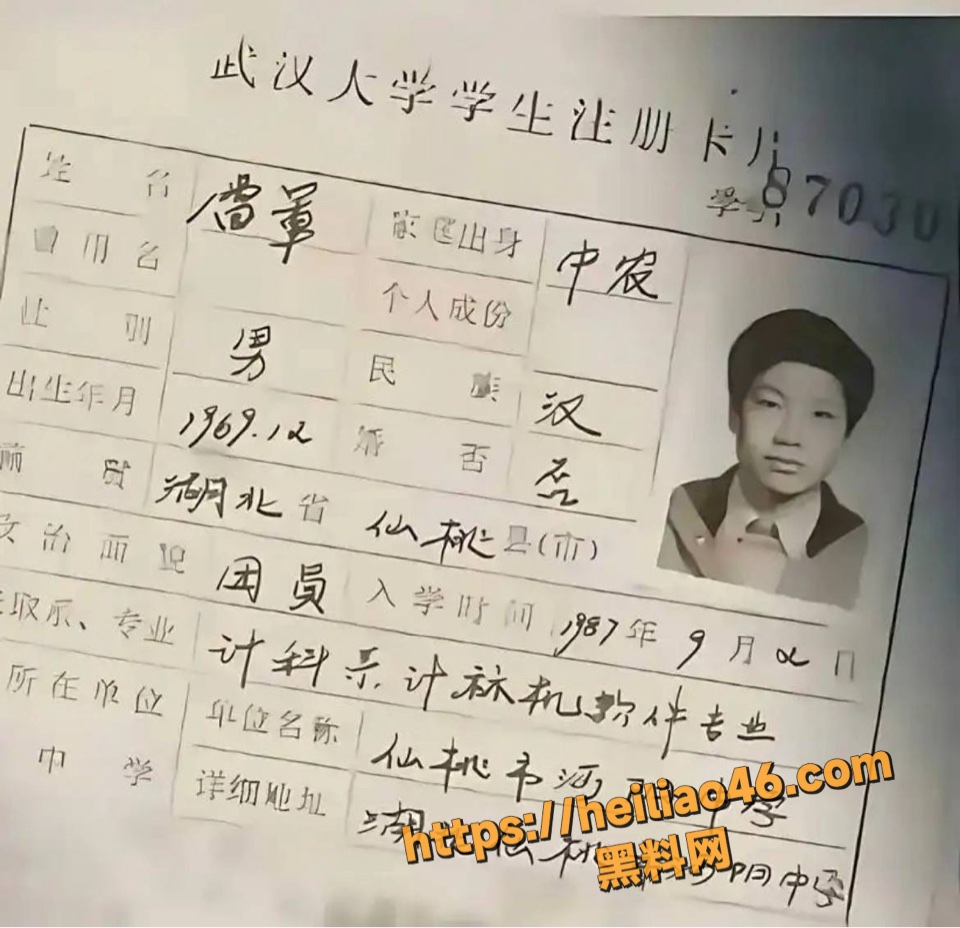 李沁与雷军不正当关系2