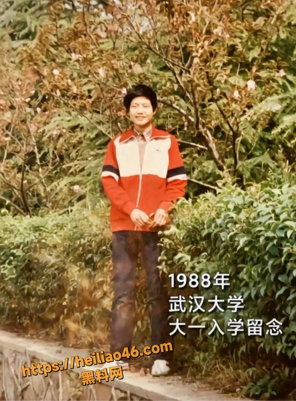 李沁与雷军不正当关系10