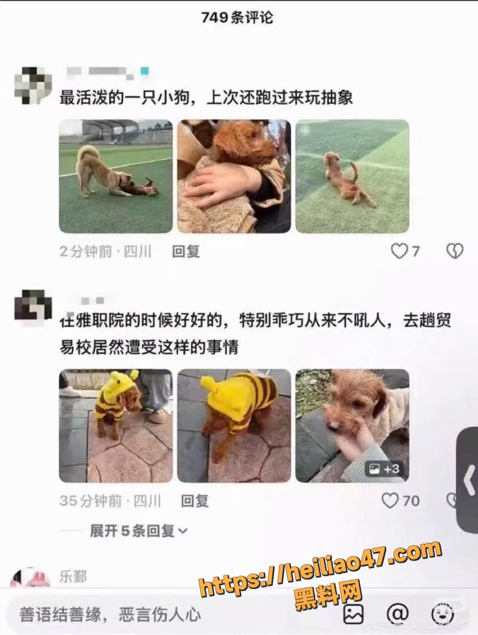 雅安教育局回应学校打狗处理事件1