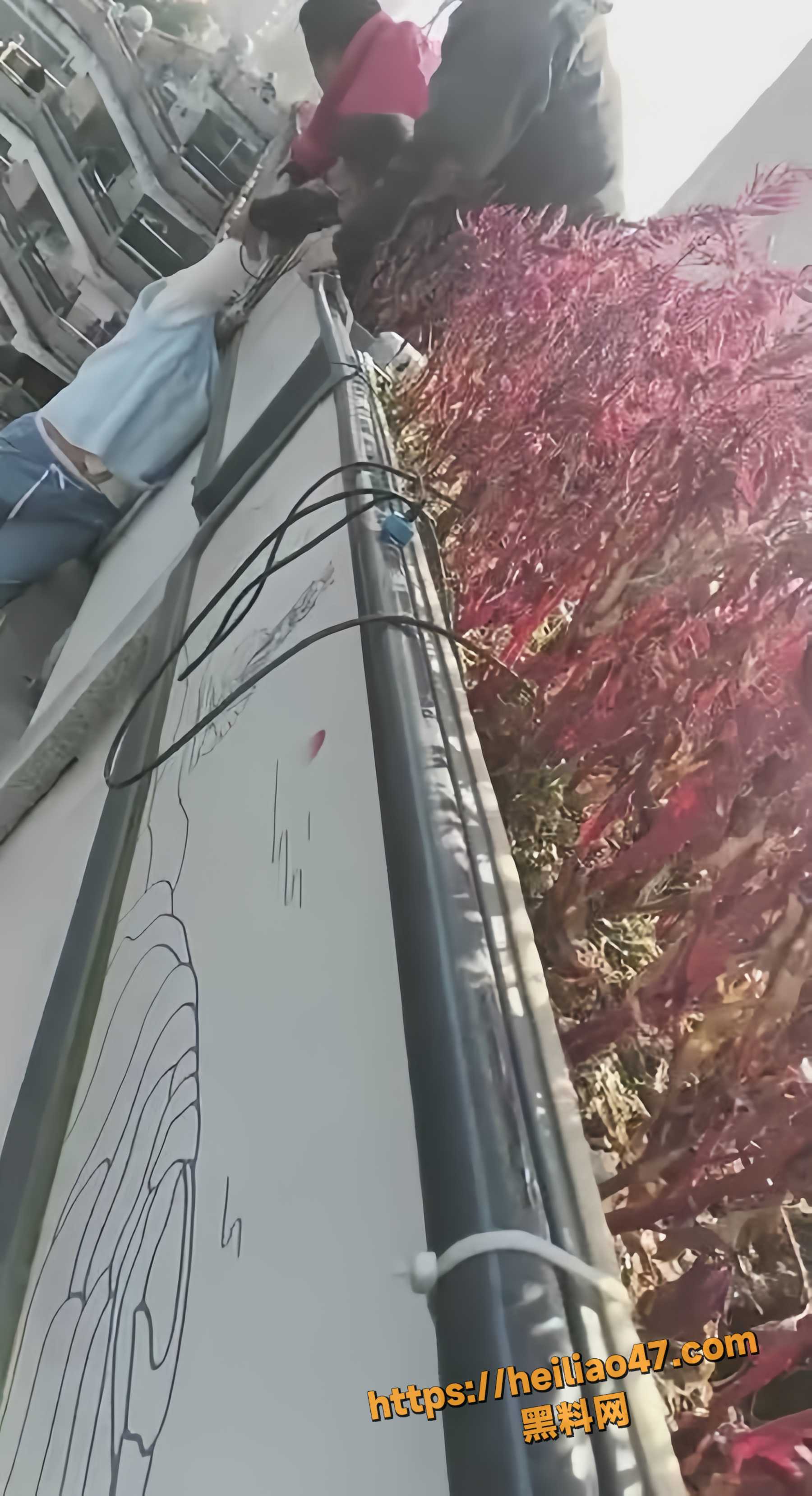 资江一桥女子跳桥视频3