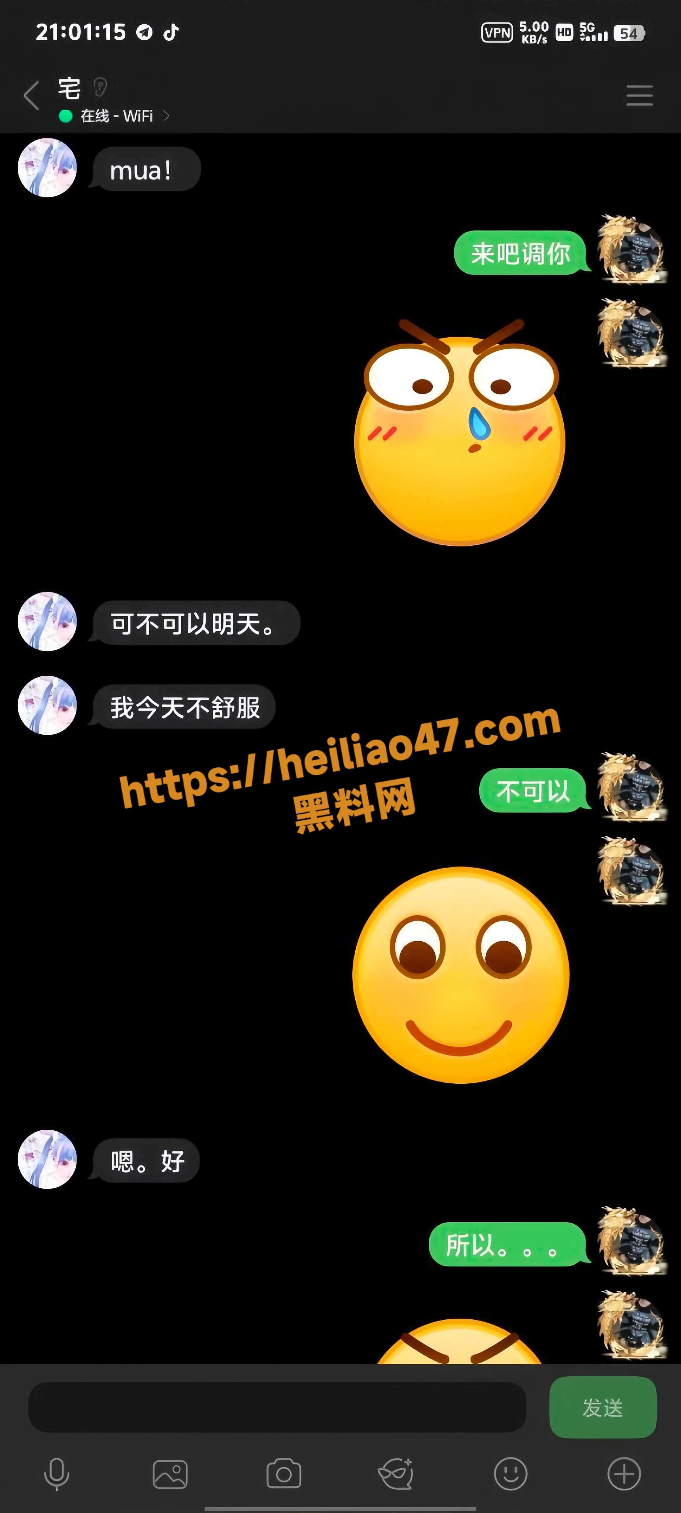 母狗4