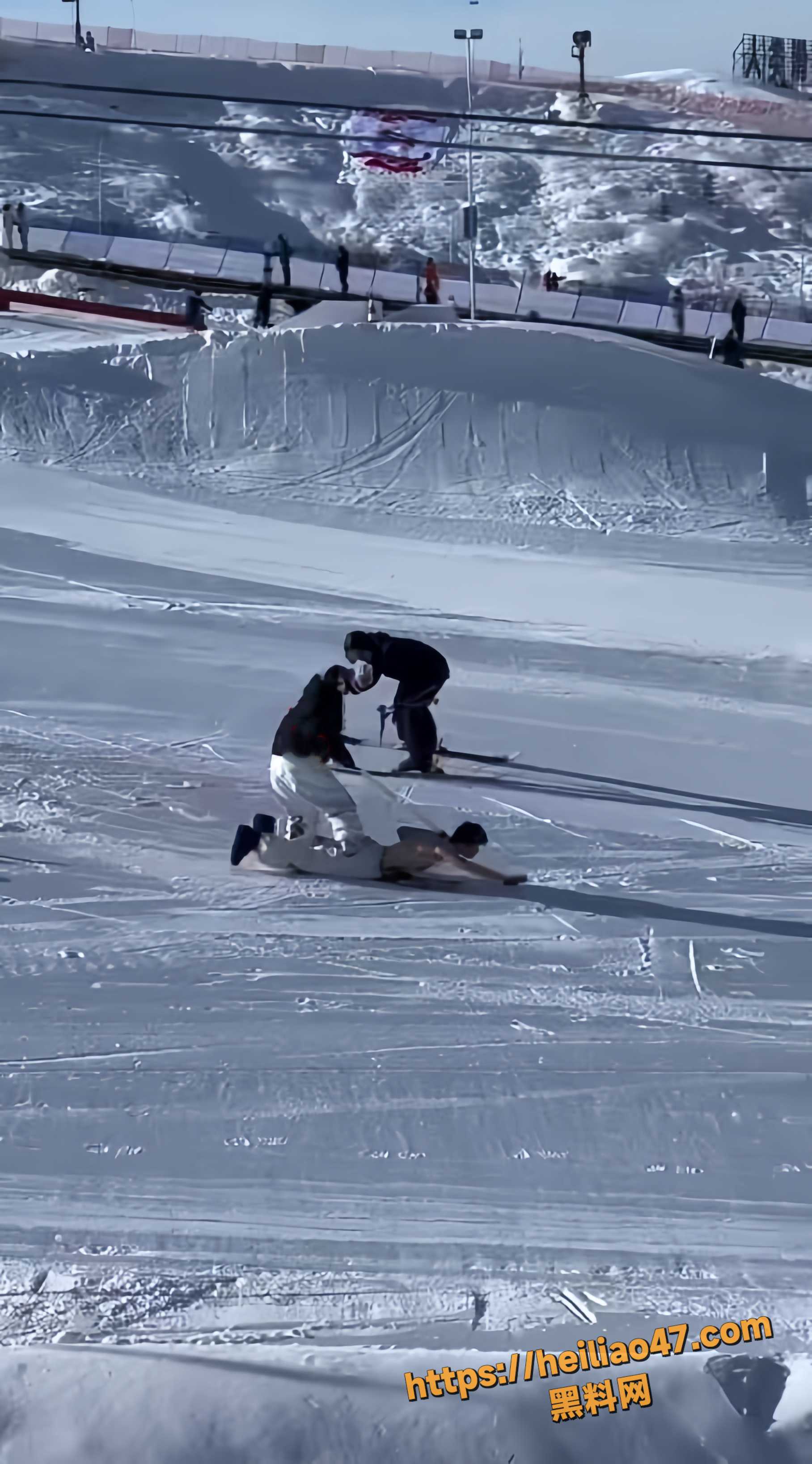 遛狗式滑雪视频3
