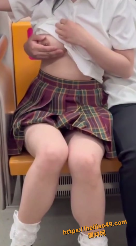 主人的任务4