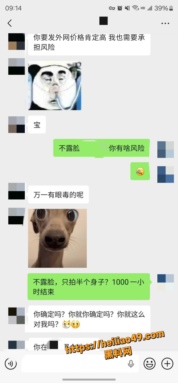 老虎菜36