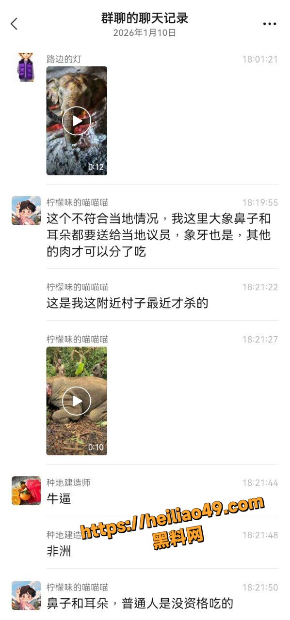 捕杀野生动物现场2