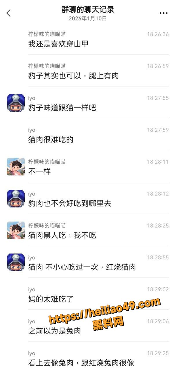 野生动物4