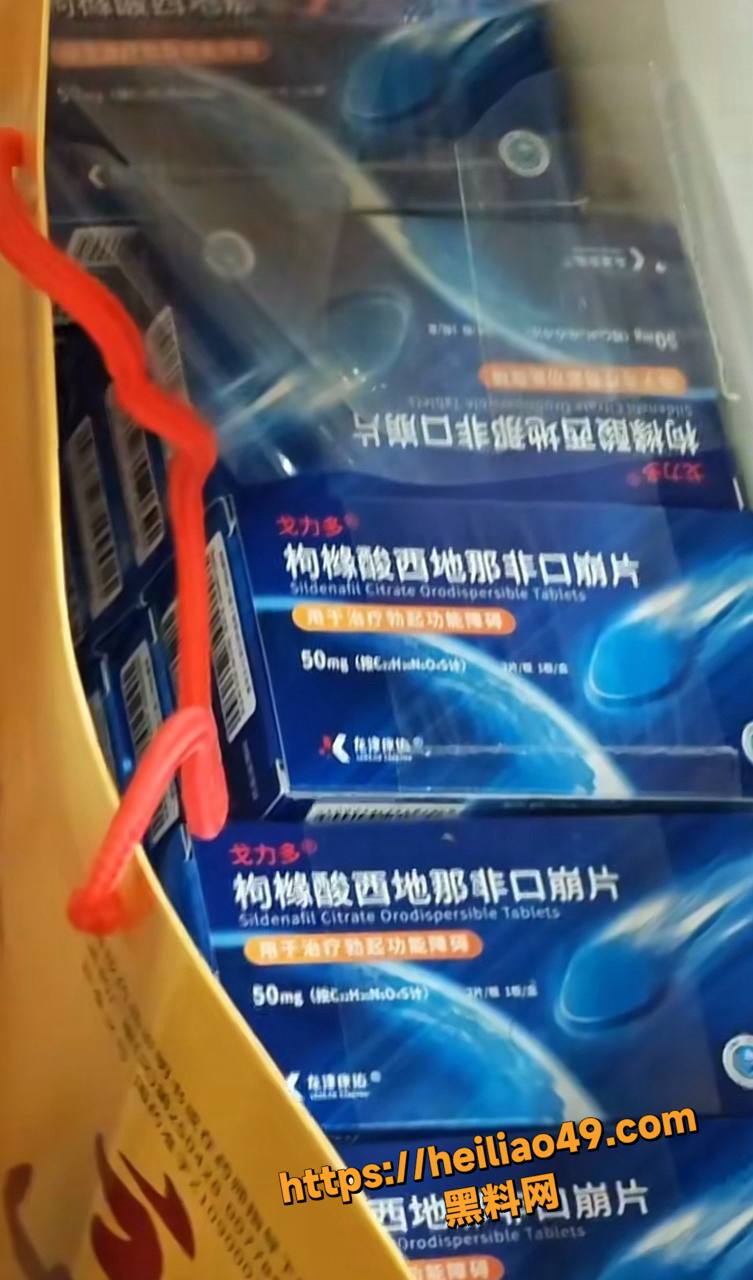 车友会7