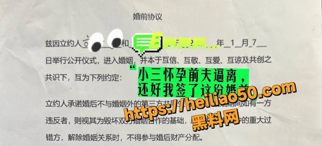 王诺诺曝光刘也行婚内出轨13