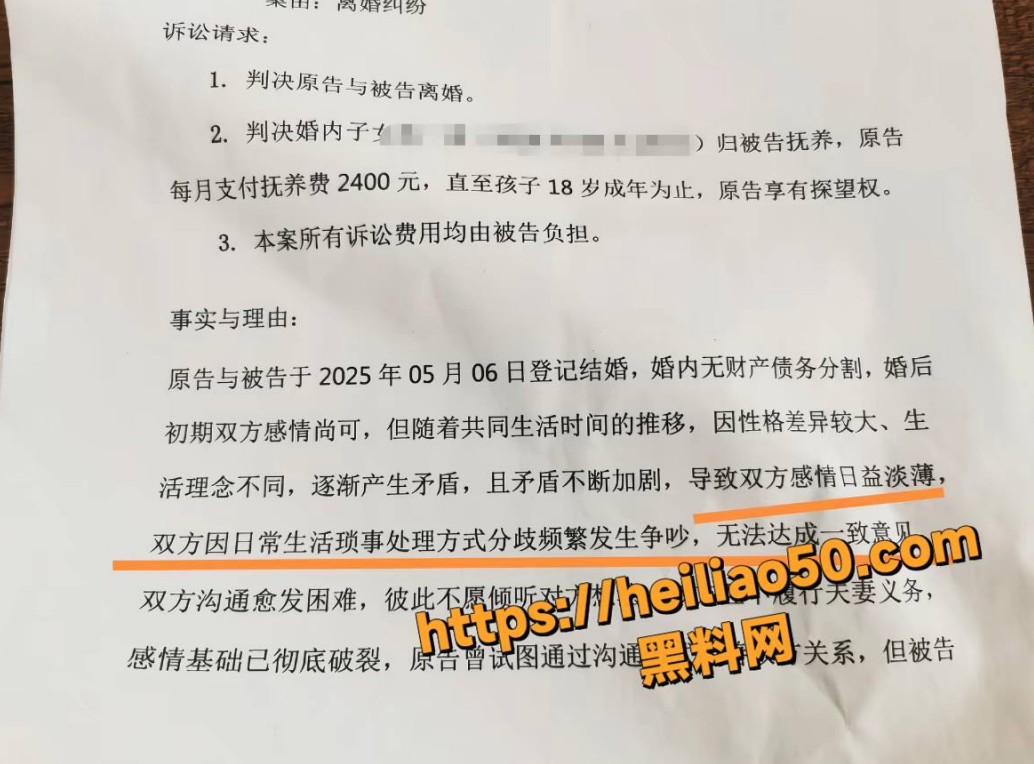 网红娜姐重生离婚事件5
