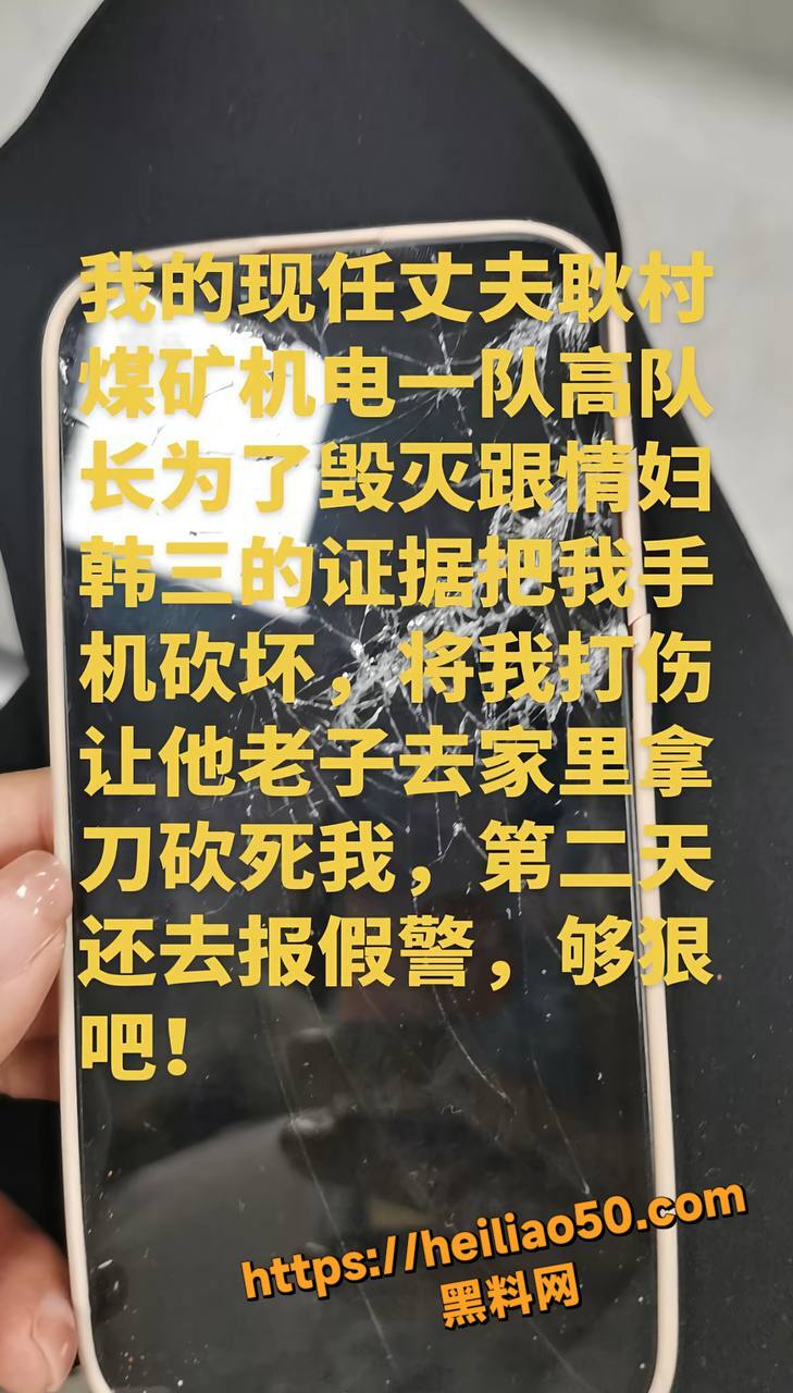 公职人员高飞出轨家暴19