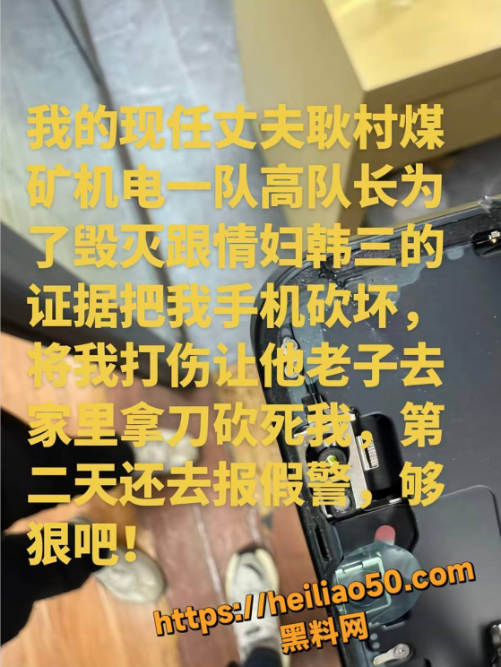 公职人员高飞出轨家暴20