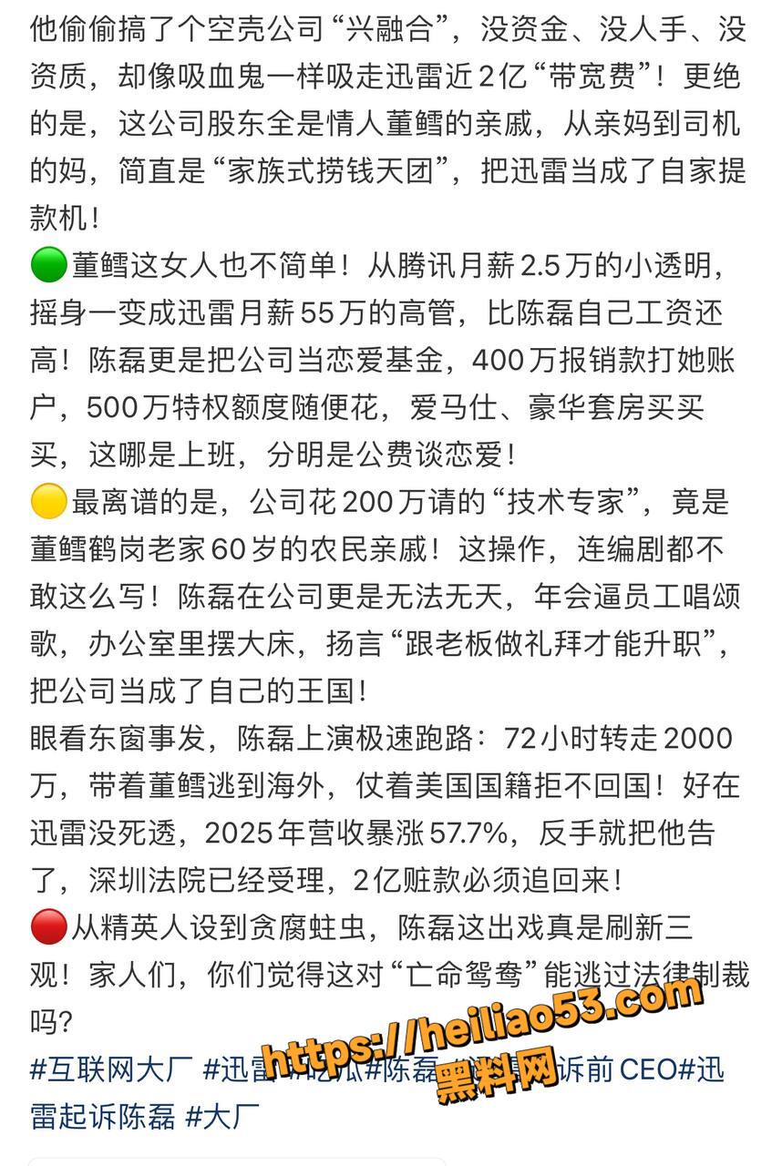 迅雷CEO陈磊贪污2亿跑路3