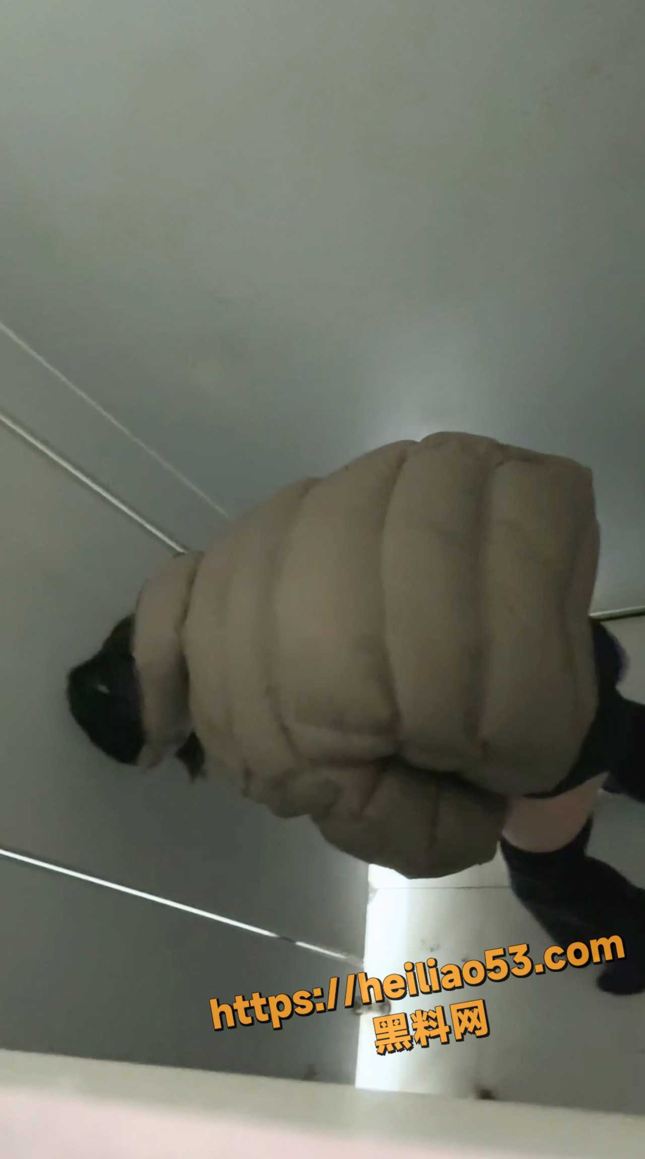 露脸出镜
