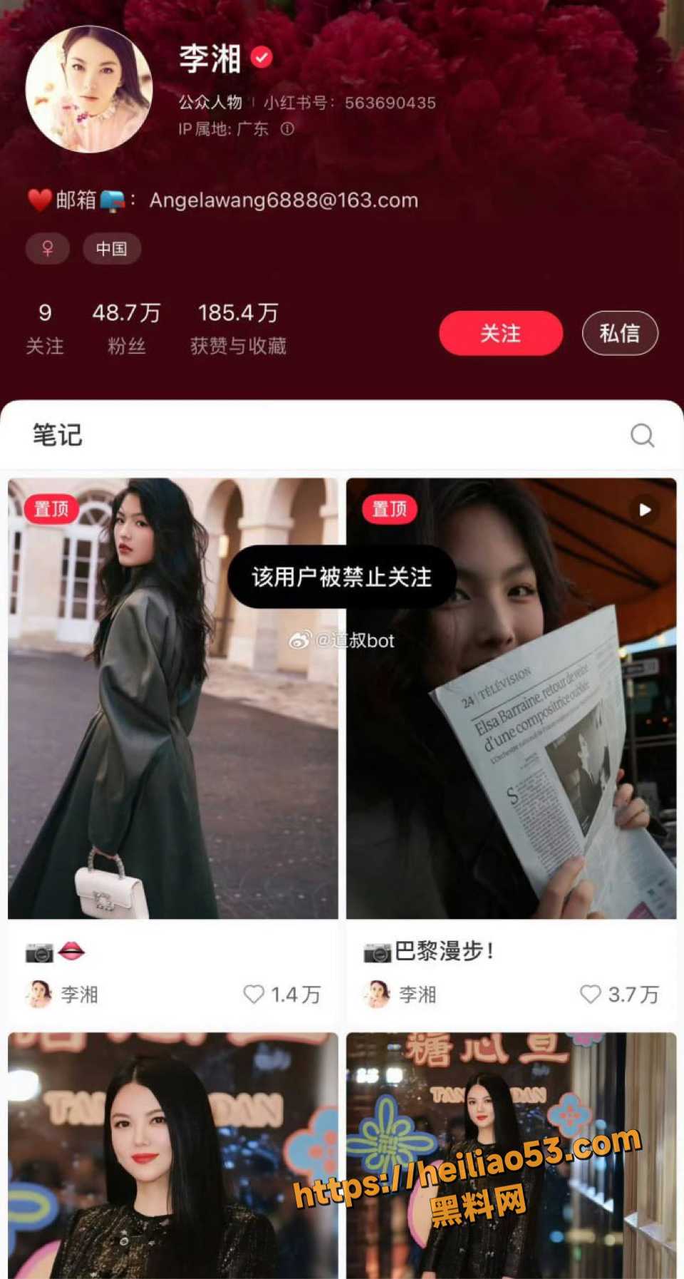 前湖南卫视主持人李湘全网被封杀4