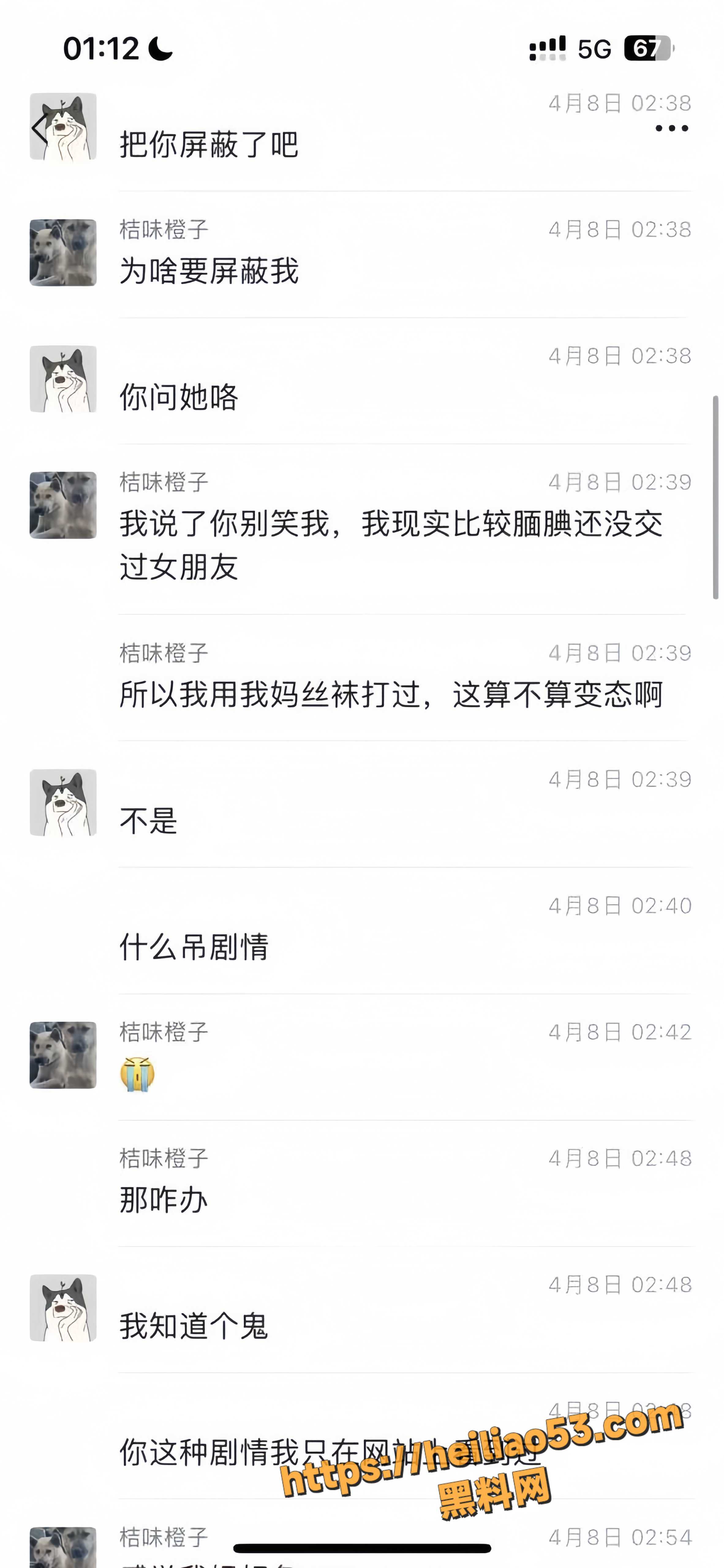 恋母8