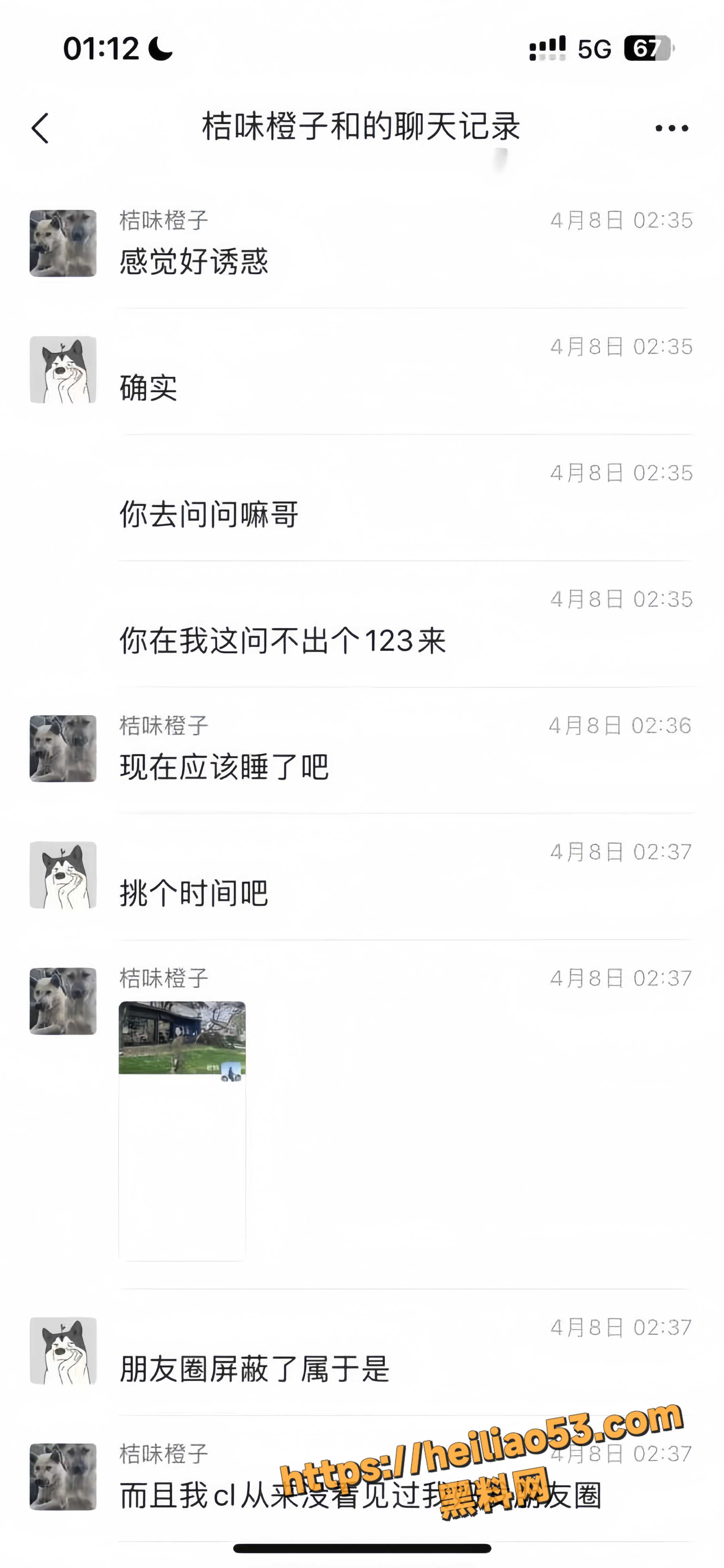 人妻9