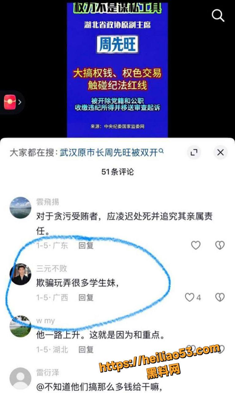 武汉市长周先旺性爱视频12