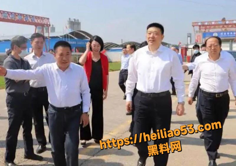 武汉市长周先旺塌房实锤18