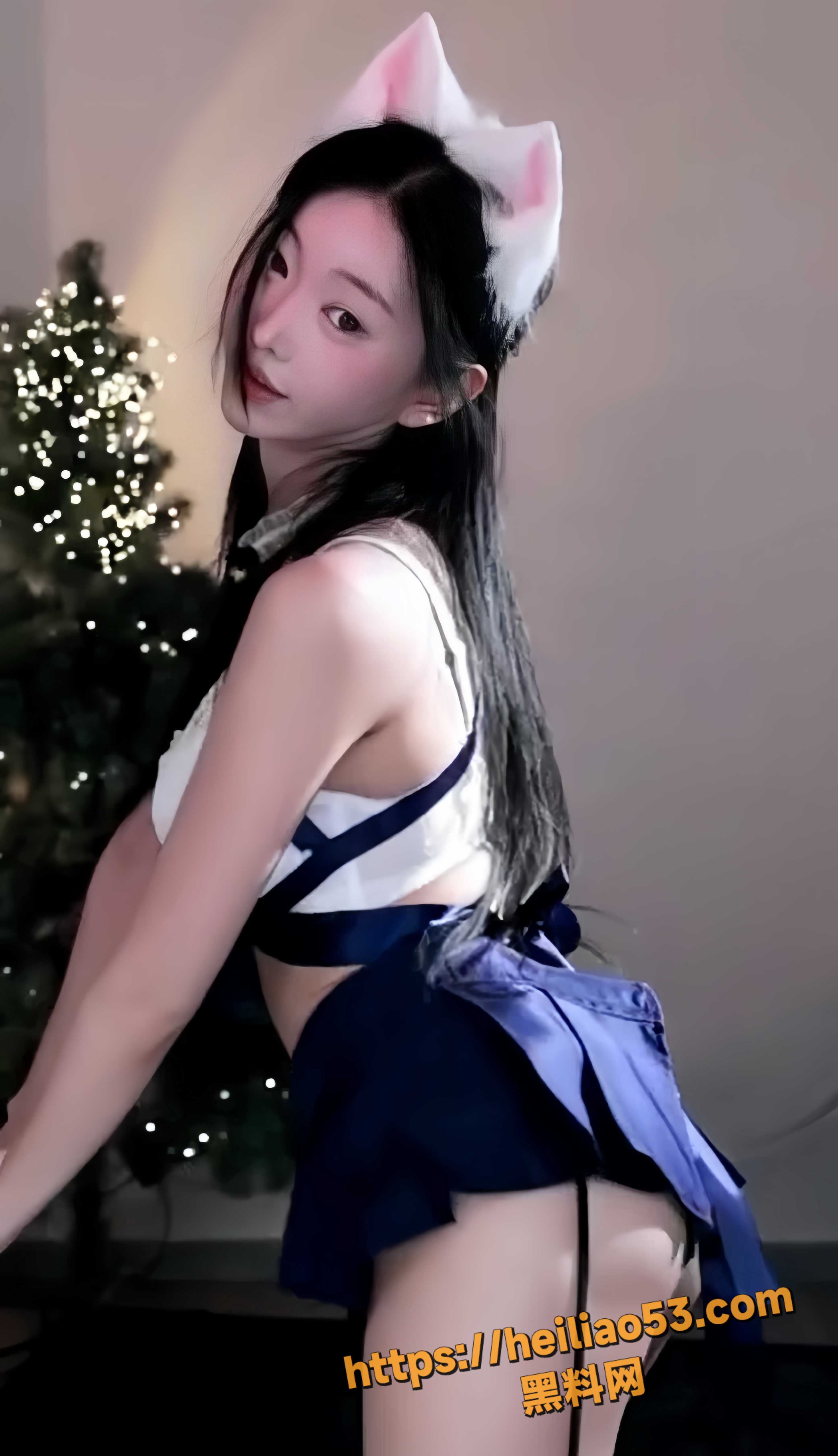 付费定制4