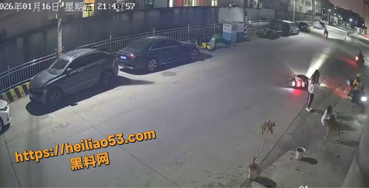 疯狗追咬姐妹现场监控视频 2