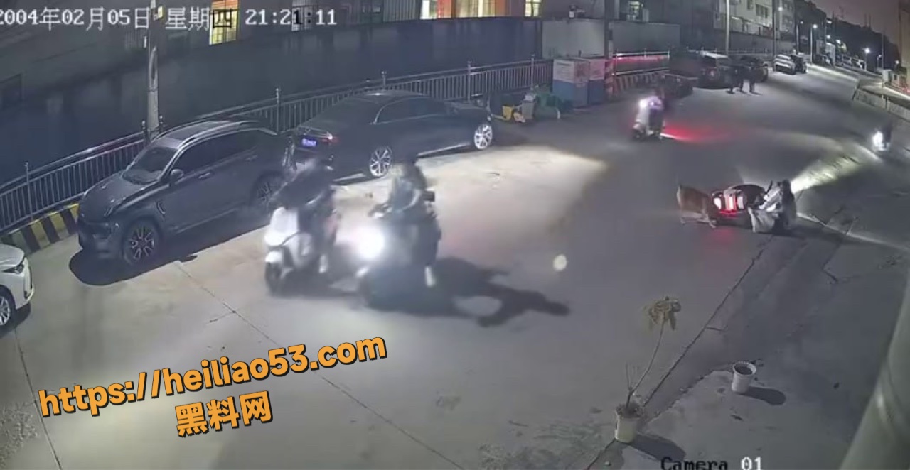 众人合力打死疯狗视频4