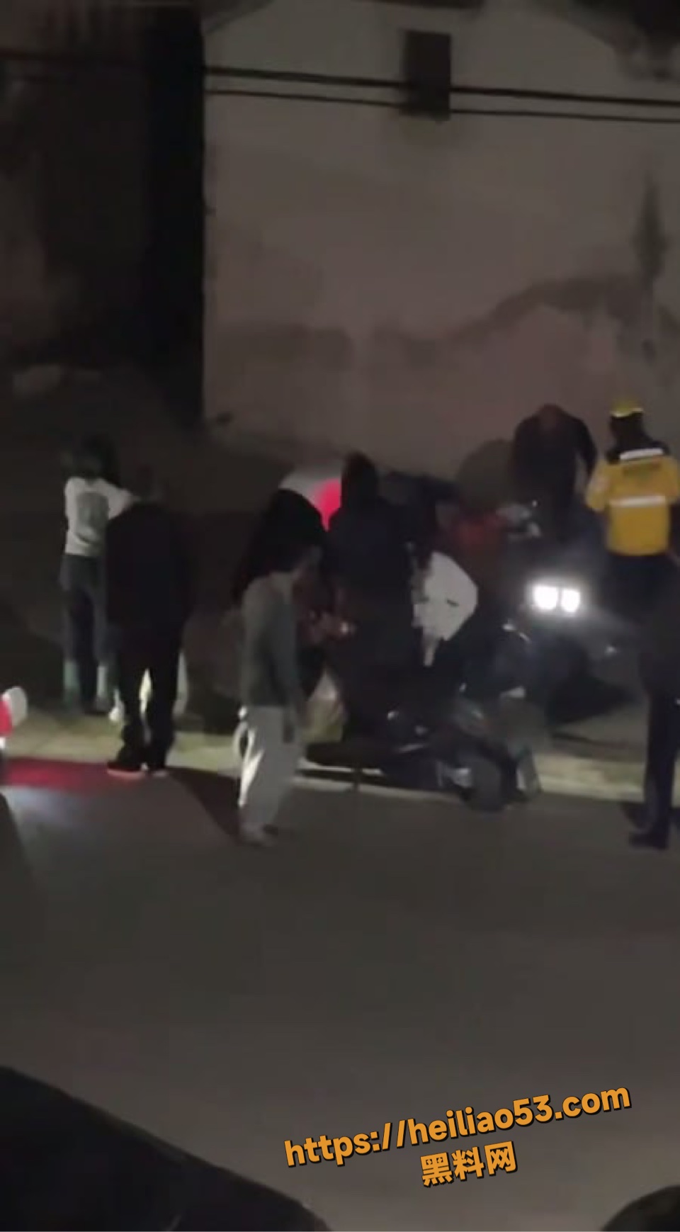 姐妹被疯狗追咬事件曝光5
