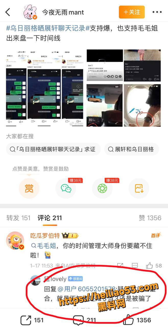 内地演员展轩性爱视频13