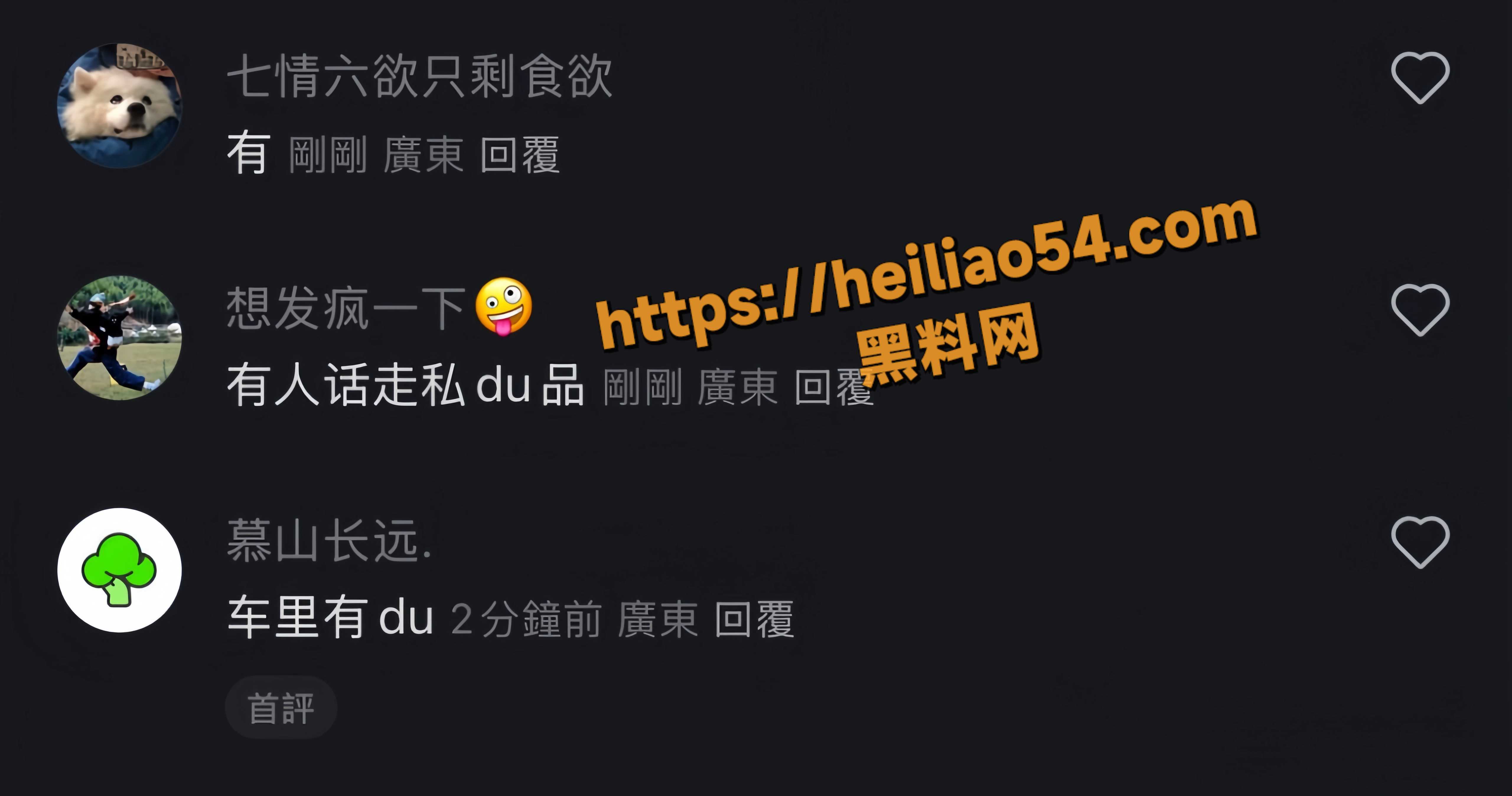 肇事司机拒捕6