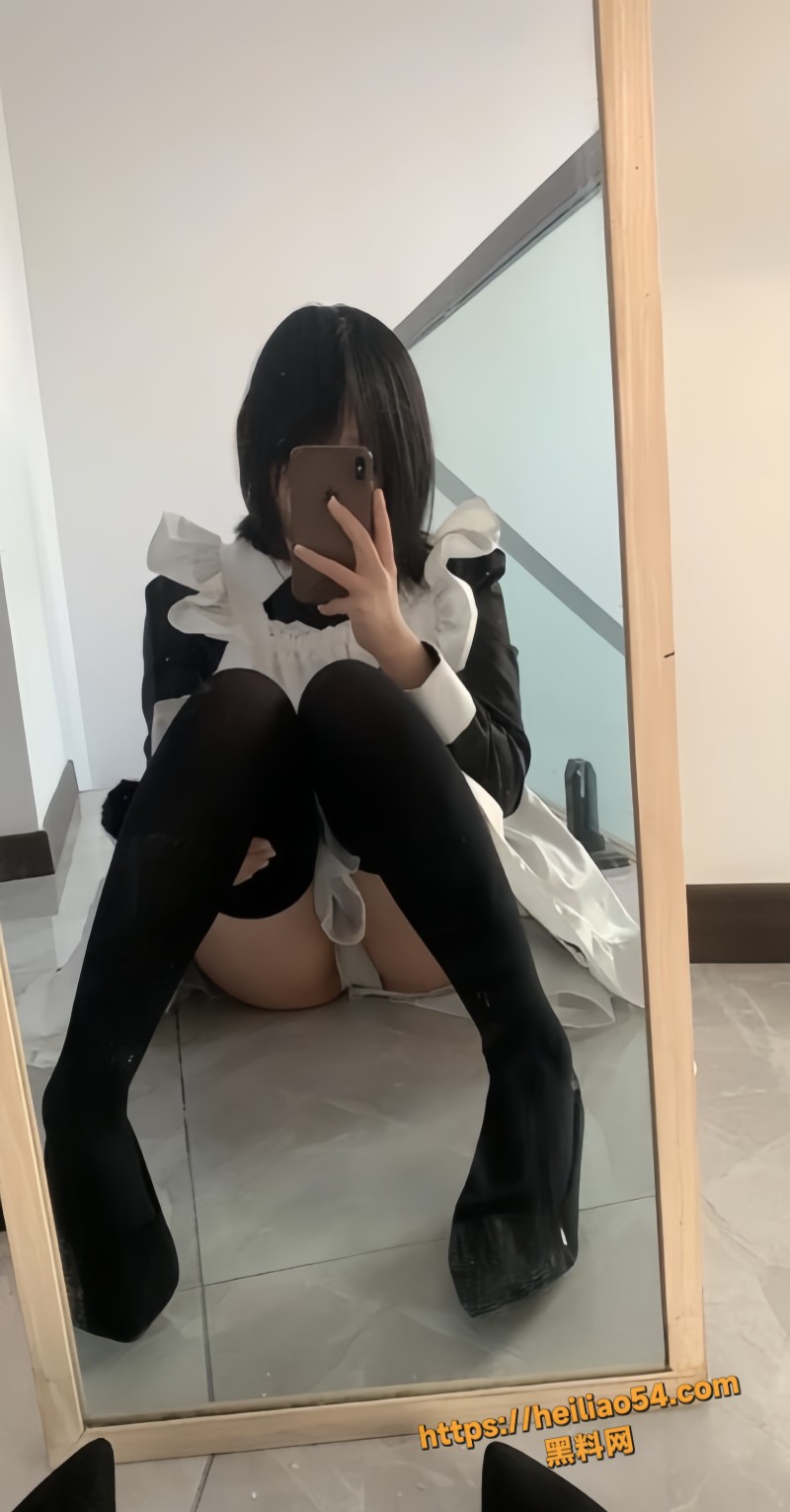 布丁狗资源合集