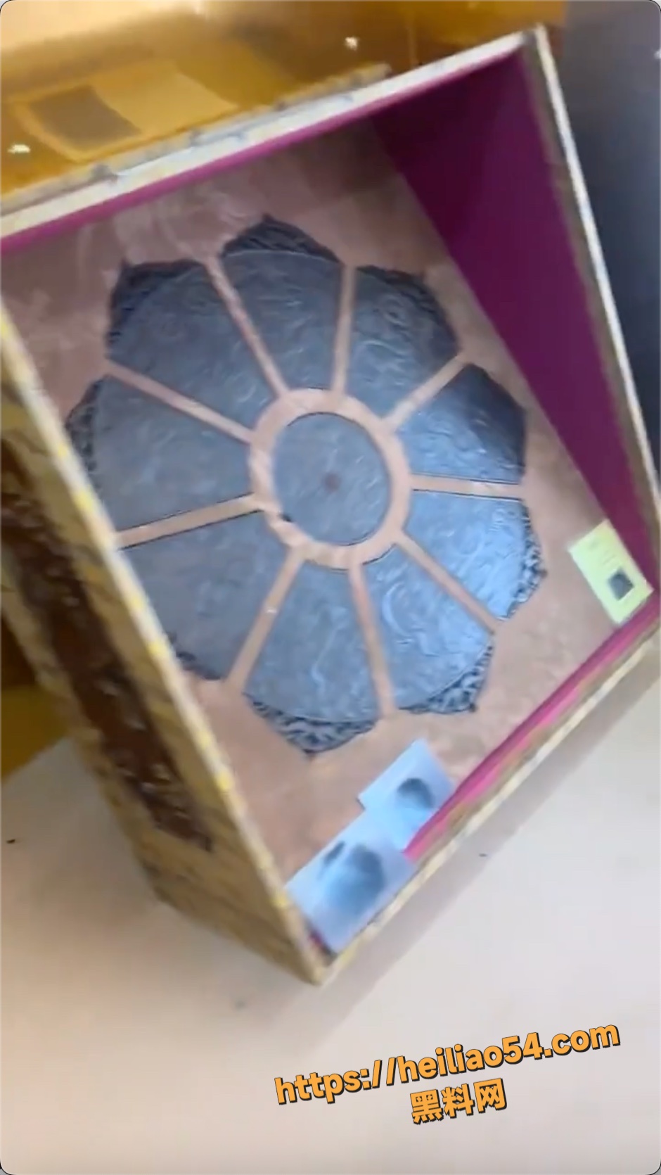 马蹄金6