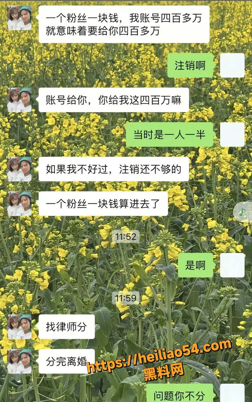 抖音网红小英离婚真相26